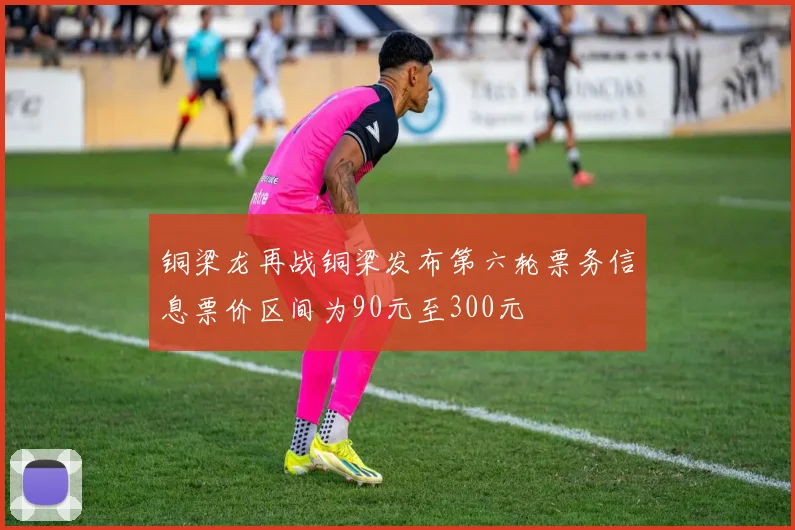铜梁龙再战铜梁发布第六轮票务信息票价区间为90元至300元