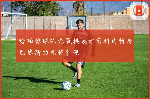 哈珀称球队无畏挑战幸有科内特与巴恩斯的老将引领
